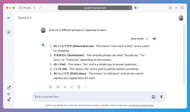 Screenshot 3 của Google Gemini