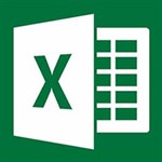 Microsoft Excel2021 icon