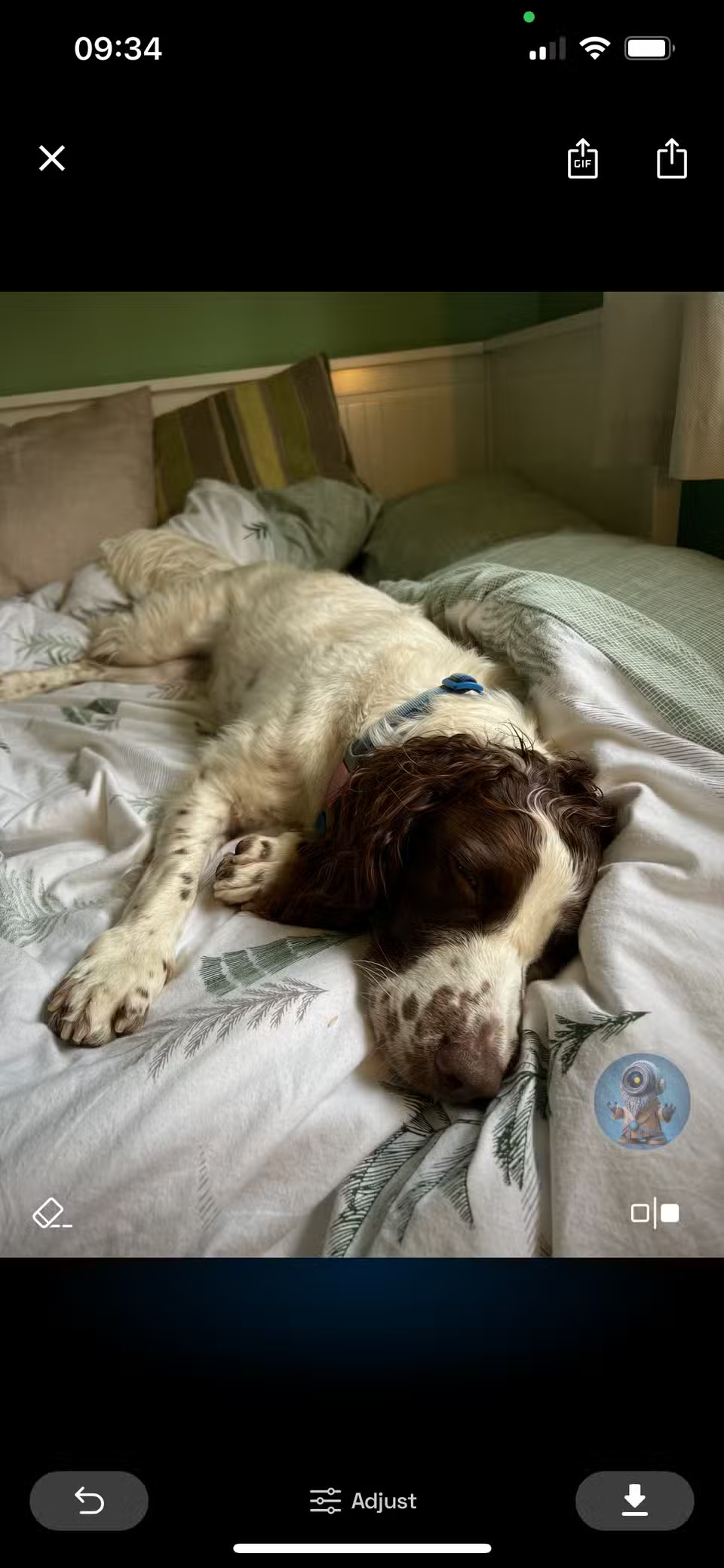 Screenshot 5 của NeuralCam