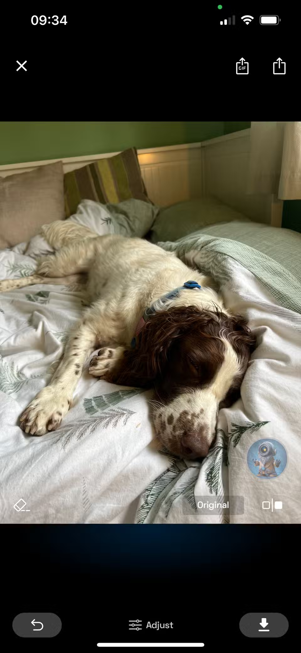 Screenshot 6 của NeuralCam