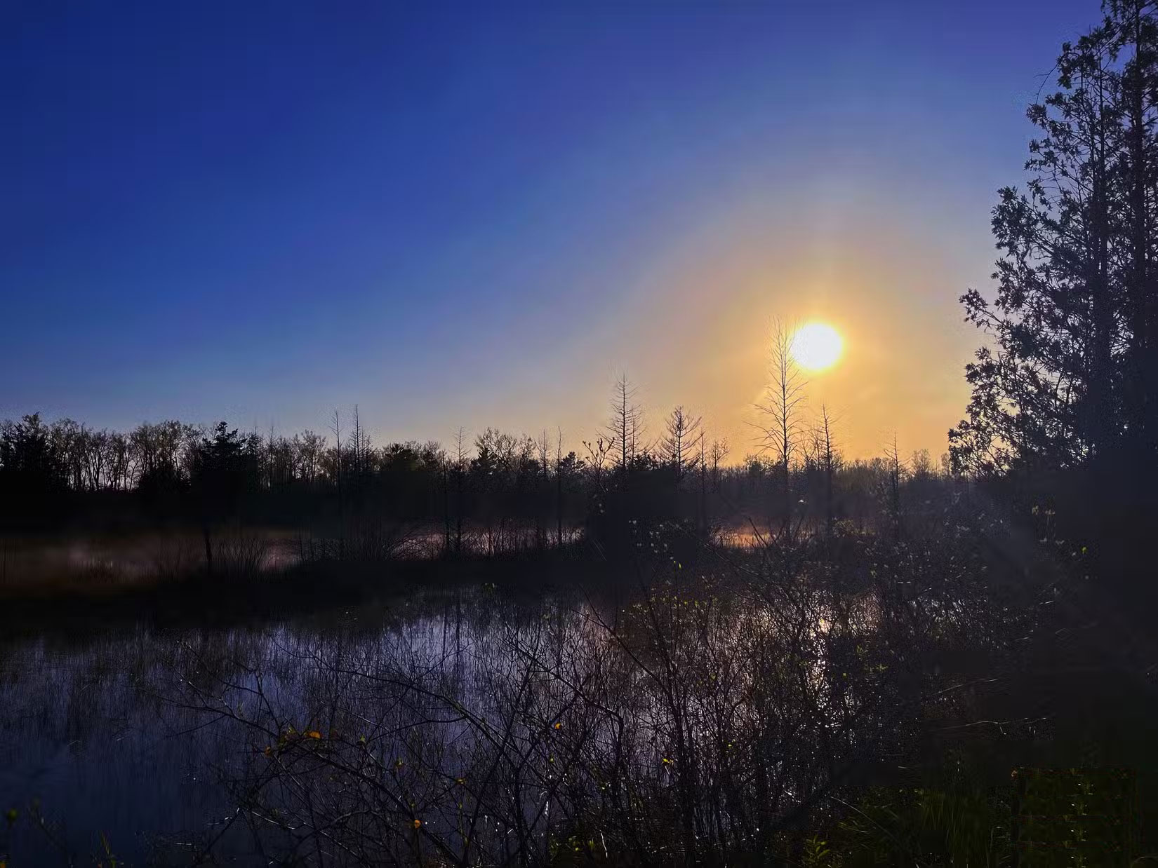 Screenshot 5 của Photoleap