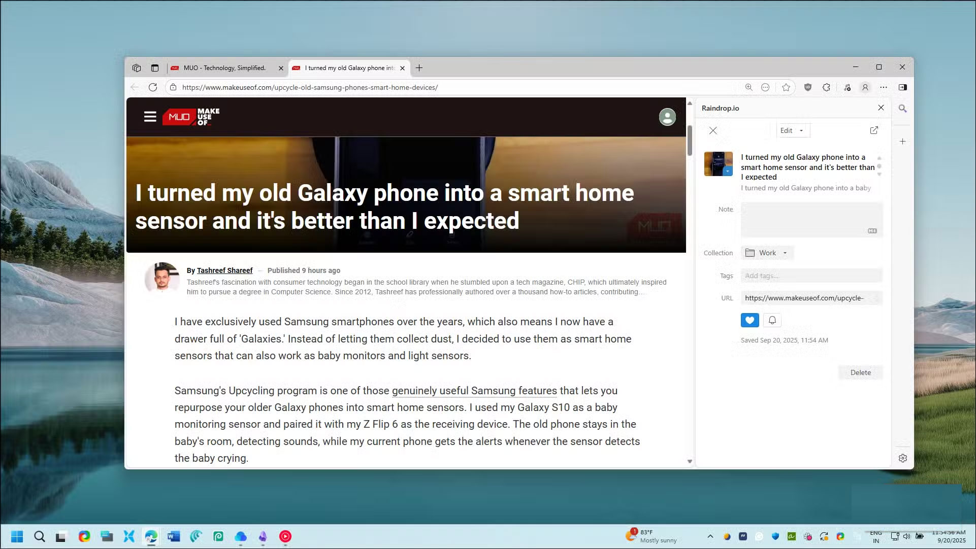 Screenshot 2 của Raindrop.io
