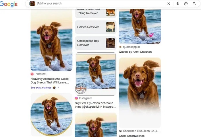 Screenshot 4 của Snipping Lens