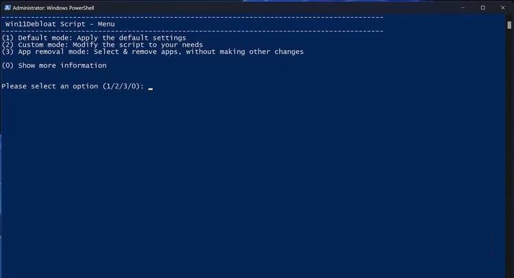 Screenshot 2 của Win11Debloat